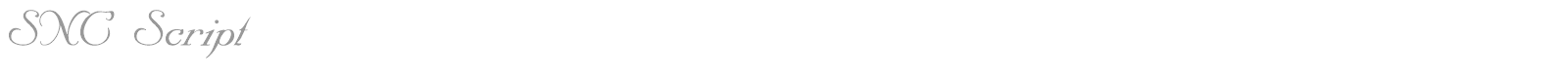 SNC Script Italic font preview